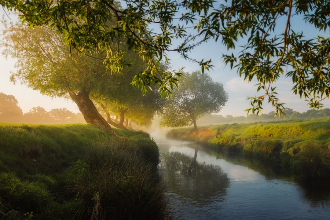 Embracing Nature: The Transformative Power of Outdoor Experiences